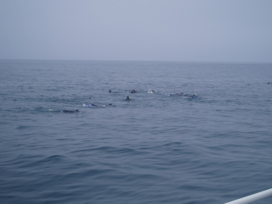 202   30 01   Kaikoura